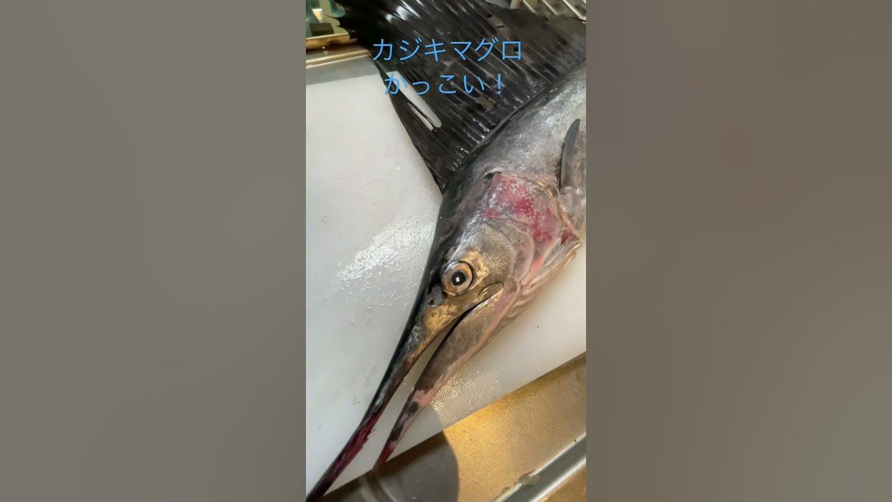 最高にかっこいい魚 男のロマン魚 バショウカジキ カジキマグロ Youtube