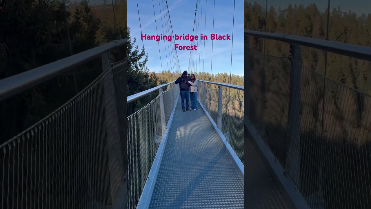 Wildline Hängebrücke | 