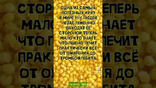 Всë будет хорошо, не переживайте самое главное. Спасибо за приветы. Елена Митрофанова.