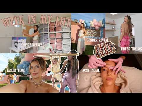 Wiml! Gender Reveal, Family Time & More!!