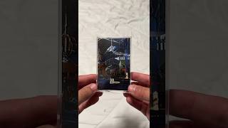 Aquatic Galleria, By Platinum Towers, ホテル Shampoo, & Midnight Première Feat. Vash12349