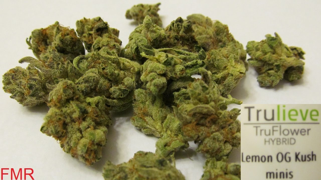 Lemon OG Kush marijuana flower from Trulieve
