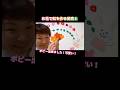 お花で虹を作る保育士【保育士あるある】 #shorts #保育士あるある