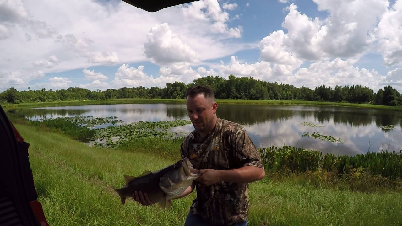 Florida bass fishing