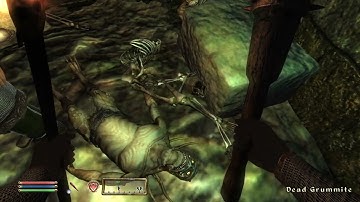 Day 731 - Killing Adoring Fan Every Day Until Elder Scrolls Skyblivion is Released