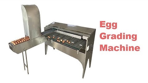 5400 Pieces/hr Chicken Egg Weight Classifier / Egg Grading Packing Machine / Egg Sorter