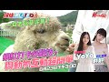 【〈頭條開Live〉網紅打卡必殺技之與動物互動超簡單】