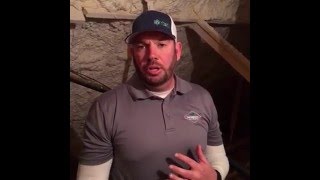 Sensigreen-Why Clean Air Filters Are Important