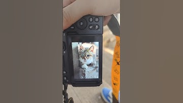 Chiếc máy ảnh nhỏ gọn chất lượng tuyệt với.