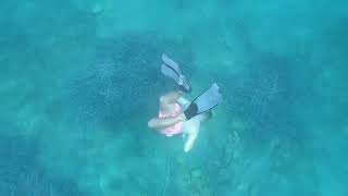 Datça Sualtı Çekimi Ükü Itbükü Ükü Bu Koylarda Mükenmel Deniz