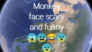 😱😱monker face so funny and scary #earthfind#👍