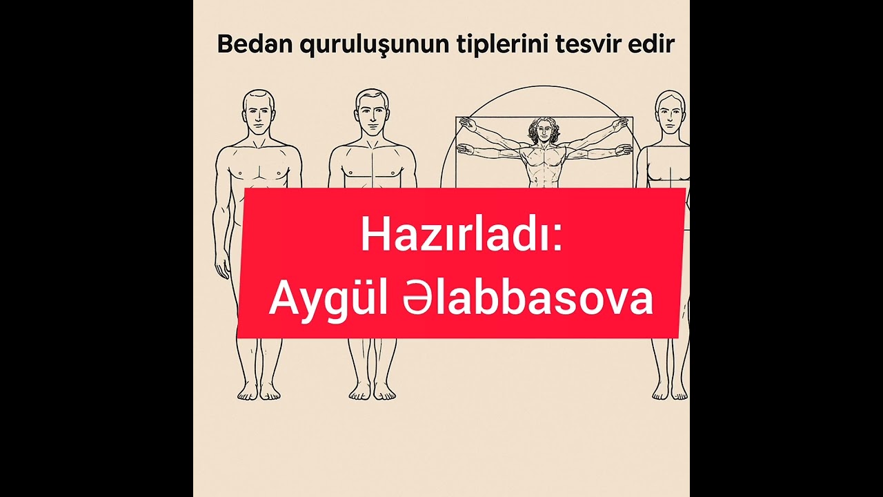 Bədən quruluşunun tipləri✅️ #peşətəhsili #dərzilik #fashion  #