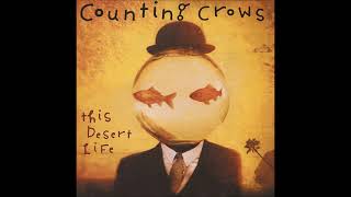 COUNTING CROWS - High Life ´99
