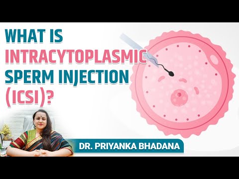 What is Intracytoplasmic Sperm Injection (ICSI)? Process, Benefits & Success Rate