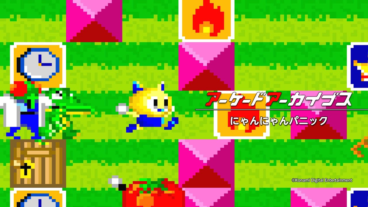 あこにゃん あこにゃん🤍໒꒱.。 - YouTube