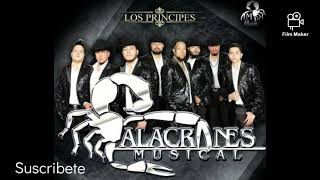 Watch Alacranes Musical Amame Hasta Con Los Dientes video