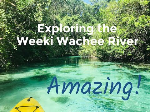 Exploring the Amazing
