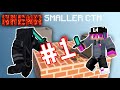 JUGAMOS ESTE pequeño CTM en MINECRAFT #1