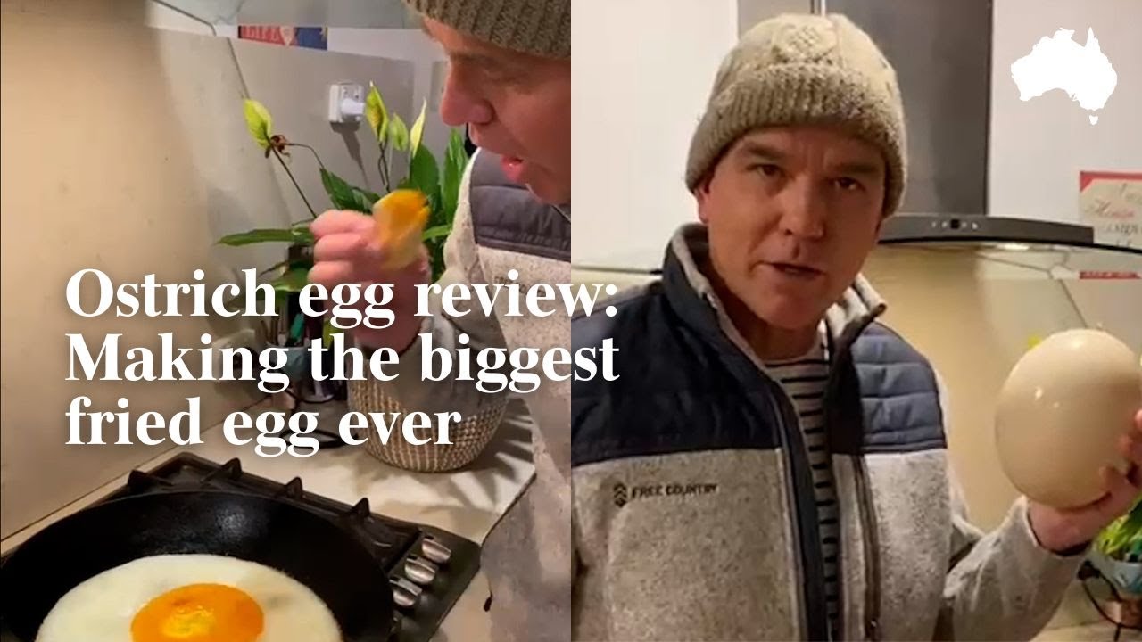 A TikTok of a pan-fried ostrich egg is rubbing people the wrong way