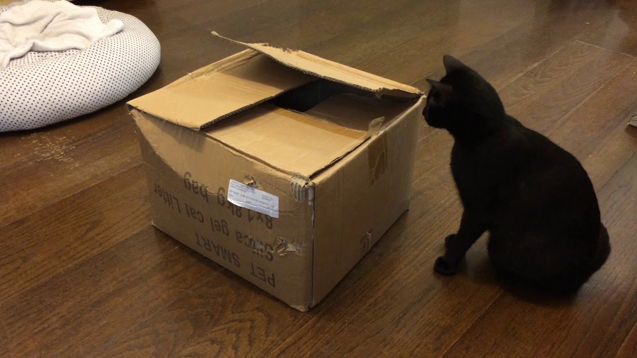 what is inside the box? - YouTube