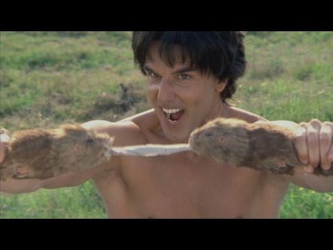 Best of Kung Pow! Enter the Fist