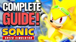 Everything You Need To Know About The Riders Fastpass Sonic Speed Simulator