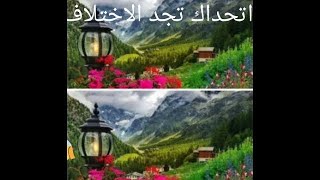 تحدي البحث عن الاختلافات (الجزء2 )