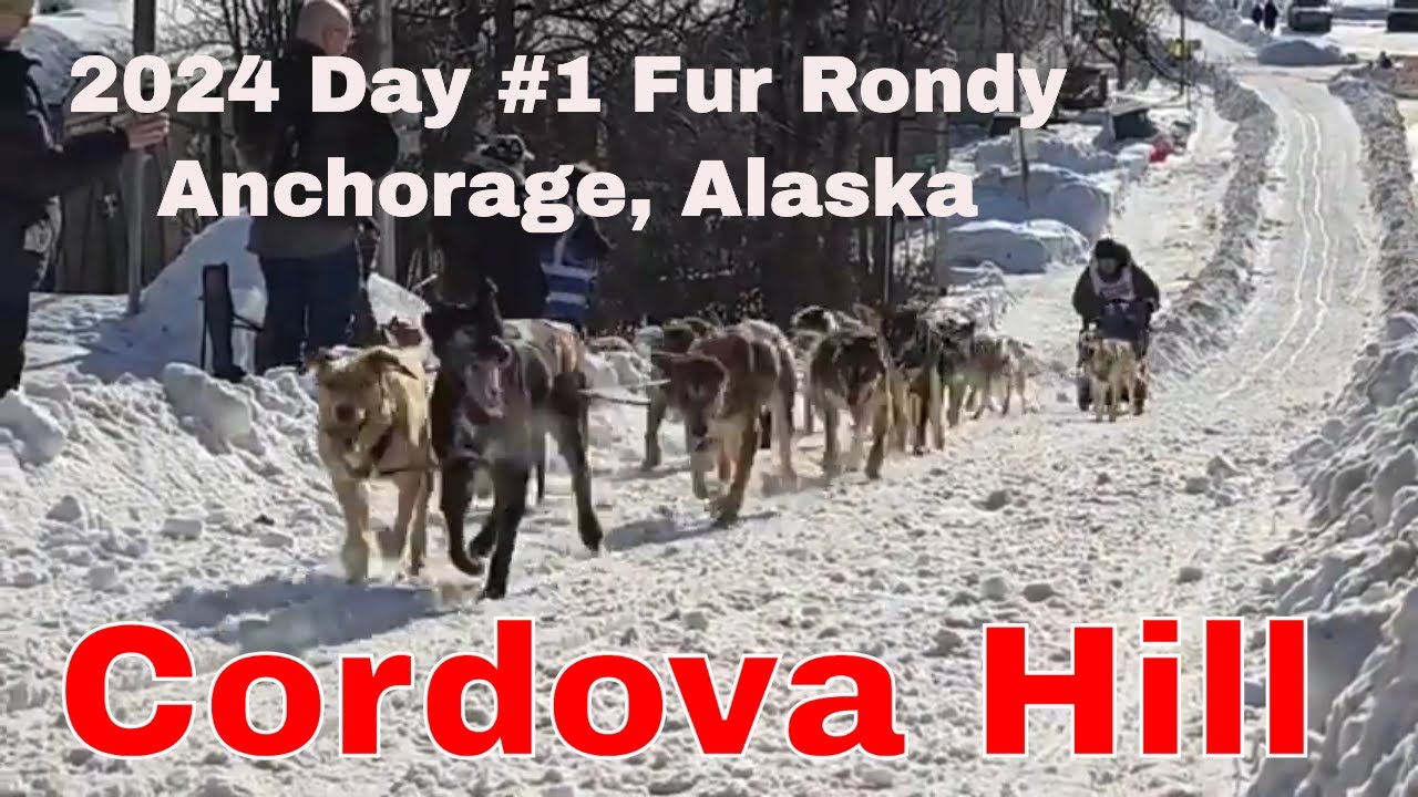 Live - Cordova Hill Day #1 Official 2024 Fur Rondy Open World ...