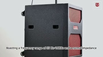 Pro 110 single 10 inch line array sound system.