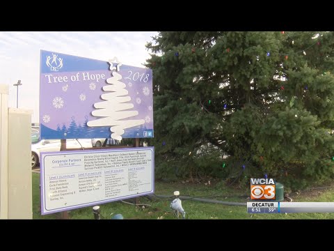 Tree of Hope