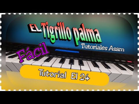 Me dicen el 24 - Tutorial Fácil - El Tigrillo Palma  + Petición 2020 Tutoriales Asam.
