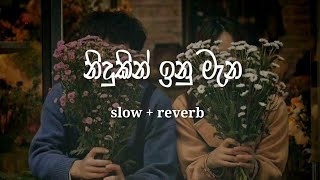 Nidukin Inu mana ( slow   reverb ) නිදුකින් ඉනු මැන 
