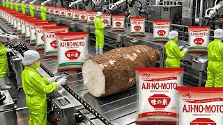 Inside the Giant Ajinomoto Factory | How MSG Is Made from Cassava Using Technology (Full Process)