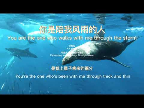 Emotional Song  You are the one who walks with me through the storm  你是陪我风雨的人