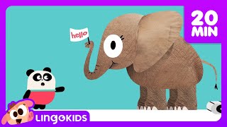 ALL ABOUT POO 💩✨ What is DIGESTION? + More Lingokids Cartoons for Kids