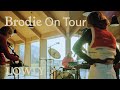Brodie sessions on tour  lowly
