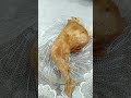 ارتكبت جريمه الحق وشوف إلى حصلي نجمه بنت القمر