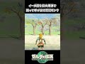 【ティアキン】巨大爆弾で囲って呼び出すリンクww【ゼルダの伝説 ティアーズ オブ ザ キングダム】