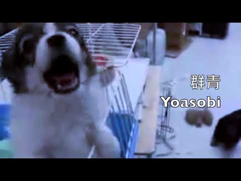阿偉你的狗勾在找你(群青Meme)
