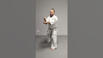 exercise for training watari uke / bunkai analysis application oyo bunkai Uechi ryu Karate Hozonkai