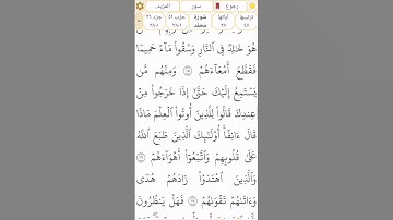 #سورة_محمد #رقم_47 القسم 6