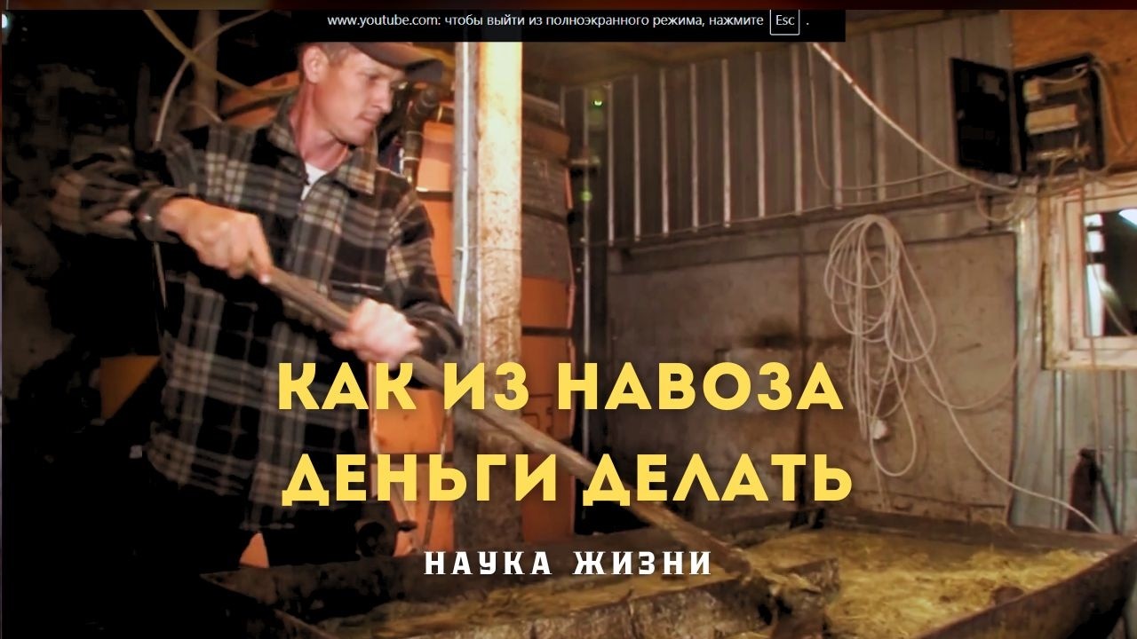 Как из навоза деньги делать? Биогаз. Наука жизни(HD)