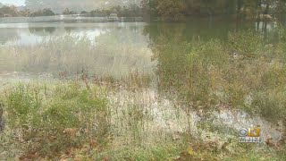 Saltwater Intrusion Harming Farmers In Maryland's Eastern Shore