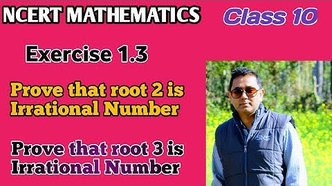 NCERT Mathematics,class 10, Exercise 1.2, Irrational numbers,rational numbers Mathspeedo,SK