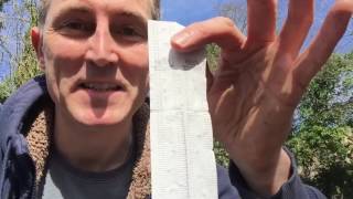 Ants Allotment: 25th March 2017: Seeds and seed tapes