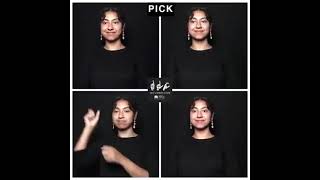 Pick Multiple Meaning Word Pt.2