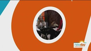 UW mascot Dubs II visits New Day - New Day NW