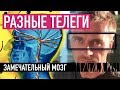 Замечательный мозг — РАЗНЫЕ ТЕЛЕГИ