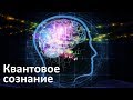 Квантовое сознание человека | Теория квантового нейрокомпьютинга