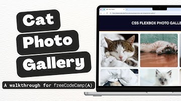 Learn CSS Flexbox by Building a Photo Gallery - A Walkthrough for freeCodeCamp - No Commentary